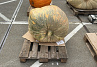 Pompoen Mega 174 kg