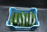 Courgettes KL. II  14 st.