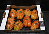 Tomaten Boeven 92+