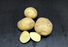 Aardappel Eerstellingen +50