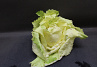 Raddichio Castelfranco