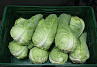 Spitskool 10kg.