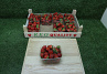 Aardbeien 8 x 500 Gr.