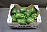 Paprika Groen MaBe GG