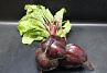Bieten Bos Rood 6 st. GROF