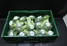 Broccoli 15 x 400 gr.