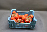 Tomaten Tros  klasse II