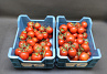 Tomaten Tros  klasse II