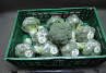 Broccoli 10 x 500 gr.
