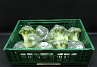 Broccoli 10 x 500 gr.