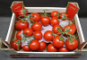 Tomaten Tros Tomabel DOOS