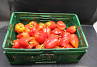 Paprika Rood 85 kl. II