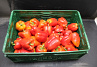 Paprika Rood 85 kl. II